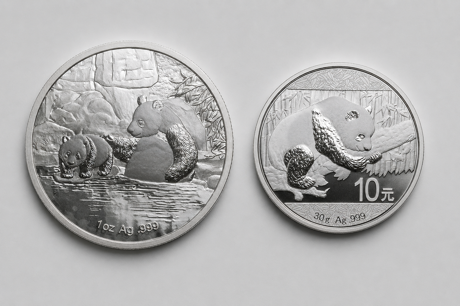 30 gram Chinese Silver Panda bullion coin, reverse showing the current year's panda design.